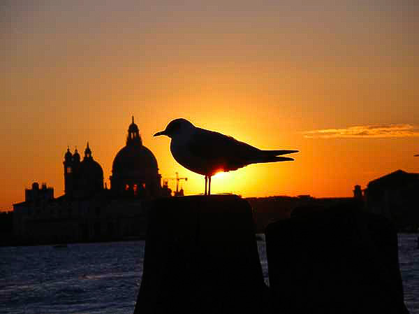 Solnedgång Venedig